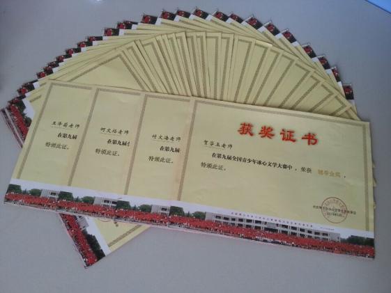 教師輔導(dǎo)金獎(jiǎng)