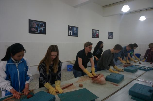 學(xué)做中國陶藝