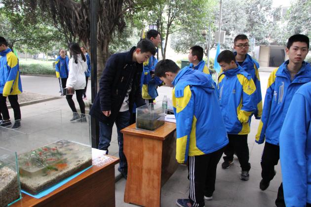 生態(tài)缸展覽