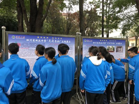 觀看“天府文化”主題展板