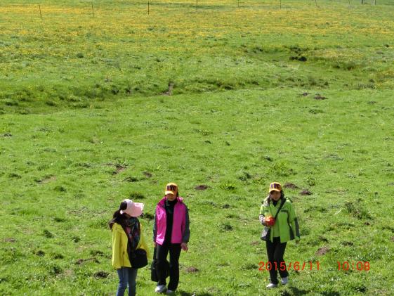 共同探討高原草甸生態(tài)系統(tǒng)