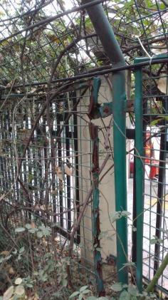 學(xué)校大門圍墻鐵柵欄銹壞