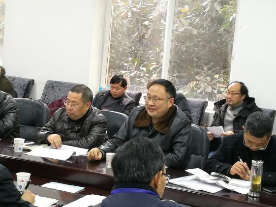 數(shù)學(xué)研培員文成林老師發(fā)言