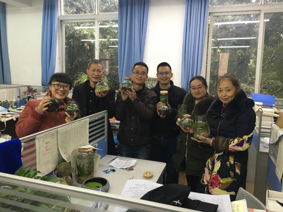 教師設(shè)計制作過程