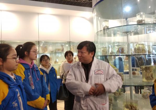 人體標(biāo)本講解