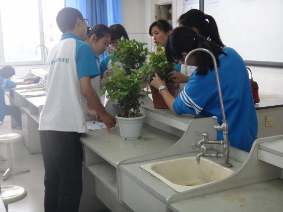 校本課程精彩瞬間