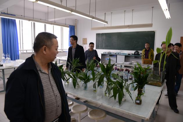 察看實(shí)驗(yàn)室