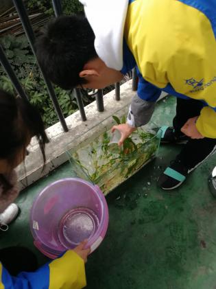 學(xué)生制作設(shè)計過程