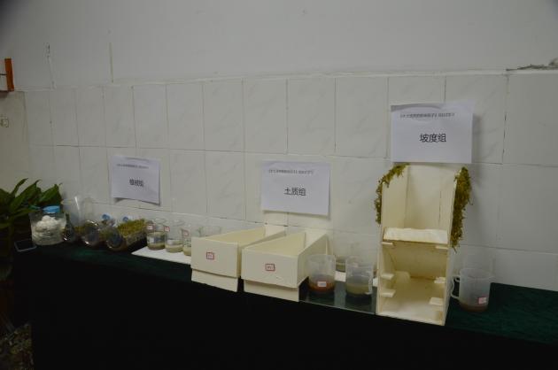 學生自制實驗教具2