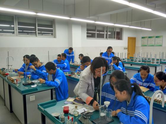 化學(xué)與生活