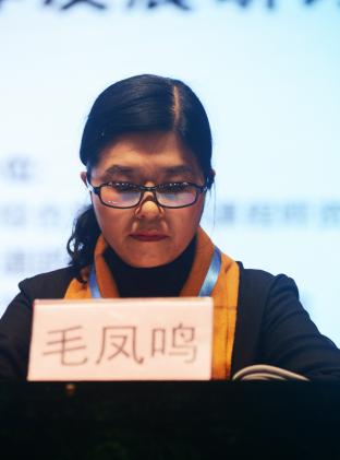 雙流實(shí)驗(yàn)小學(xué)毛鳳鳴校長(zhǎng)演講