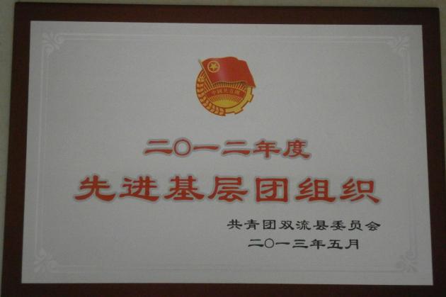 高2013級(jí)10班團(tuán)支部