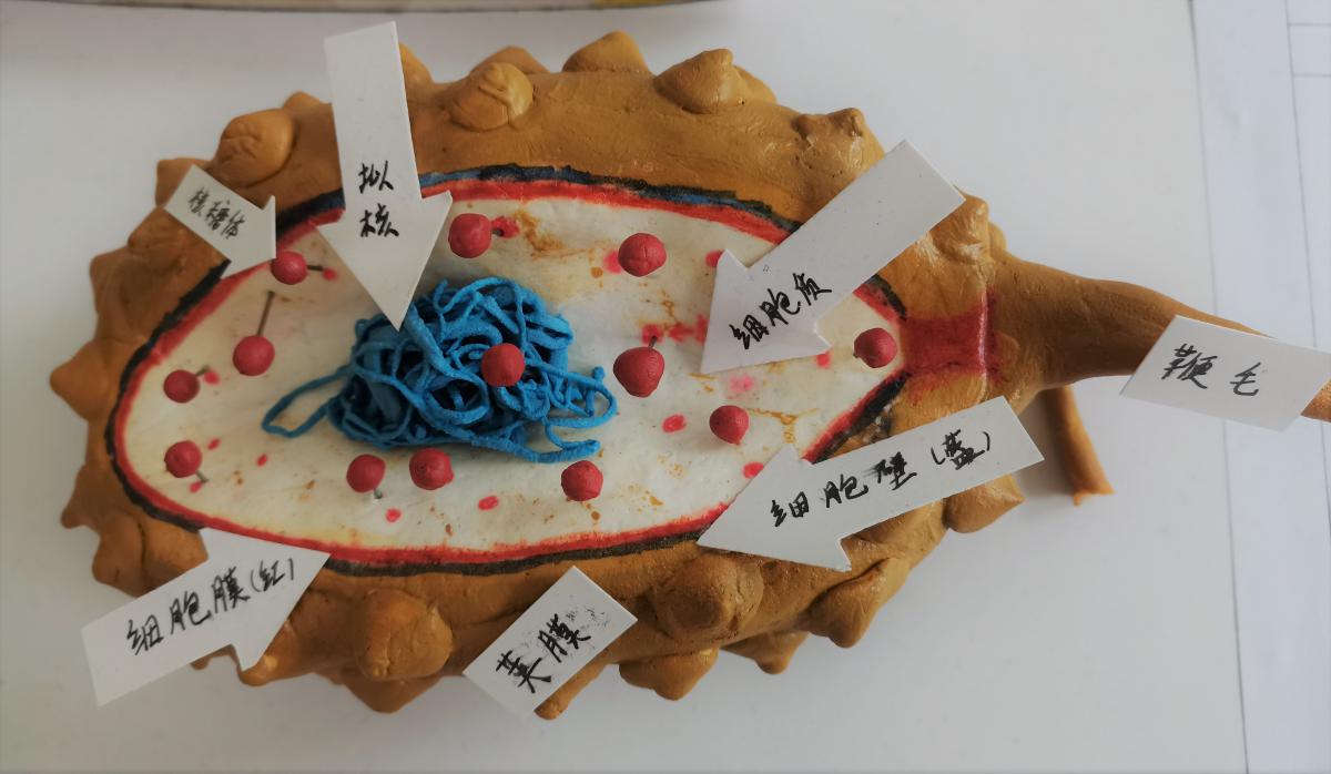 “DGD”小組作品