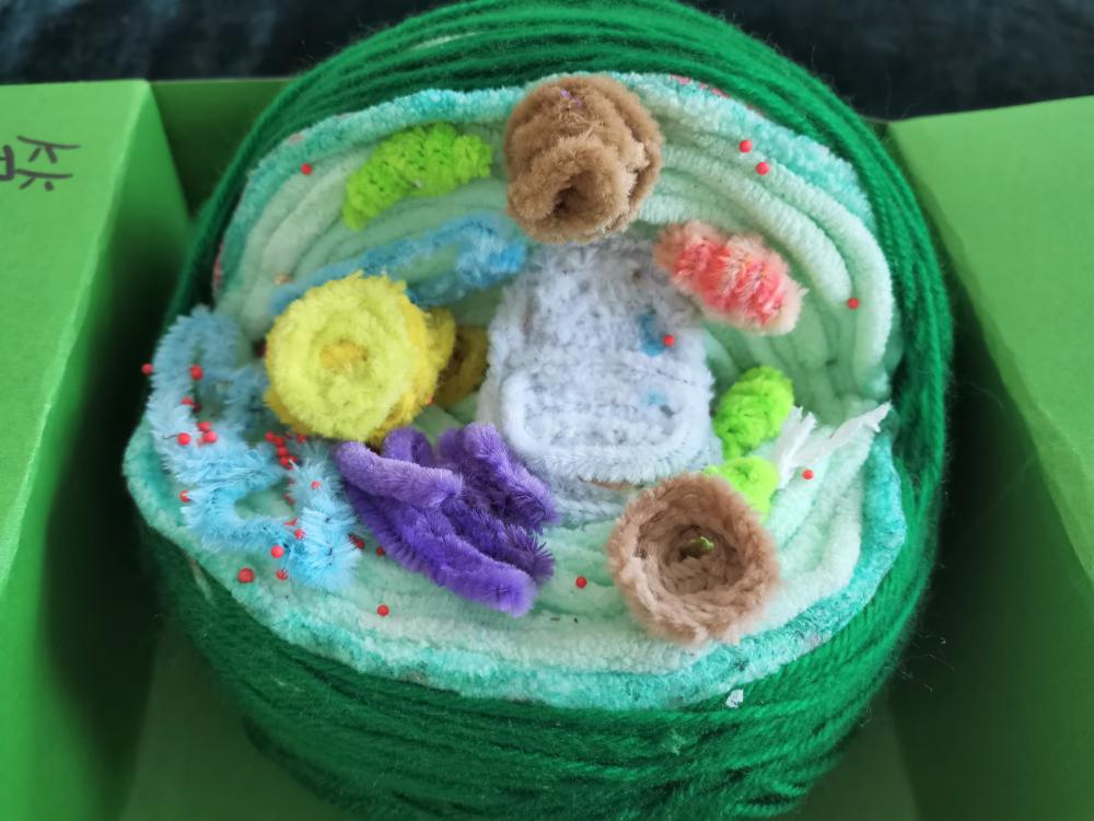 “星辰大?！毙〗M作品