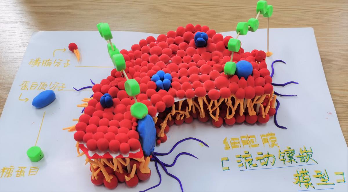 “海闊天空”小組作品