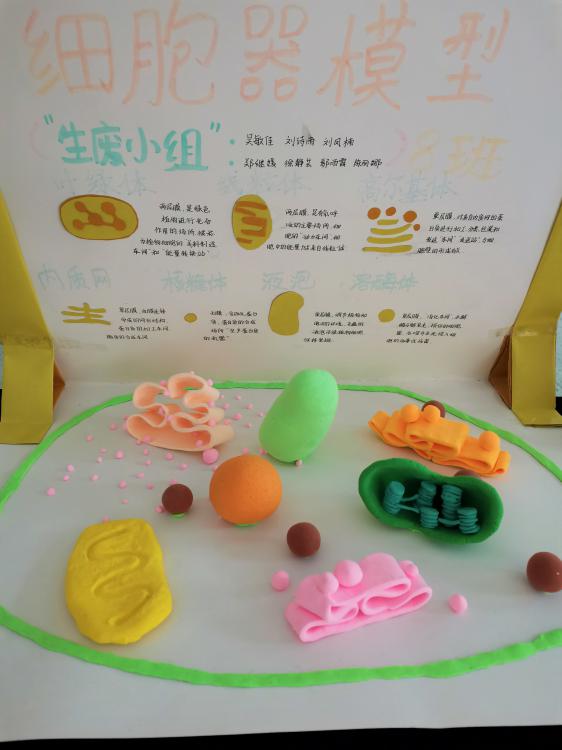 “生廢小組”小組作品