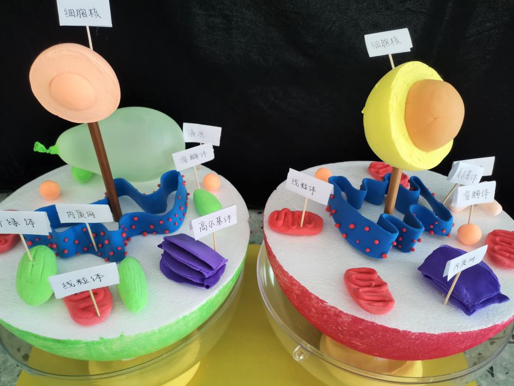 “賈老師后援會 ”小組作品